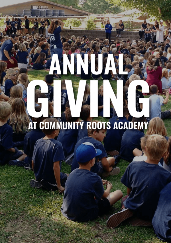 annual giving program